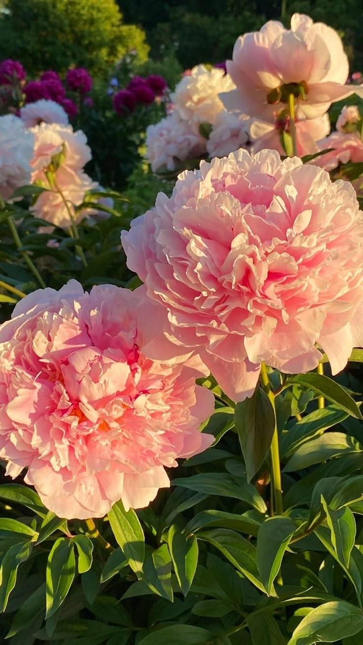 Enchanted Evening Floral Symphony